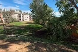 8470 Decatur St, Westminster, CO 80031 - Photo 5