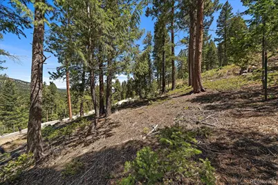 6875 Lynx Lair Road, Evergreen, CO 80439 - Photo 15