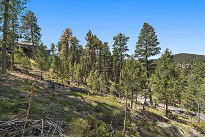 6875 Lynx Lair Road, Evergreen, CO 80439 - Photo 13