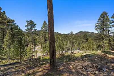 6875 Lynx Lair Road, Evergreen, CO 80439 - Photo 9
