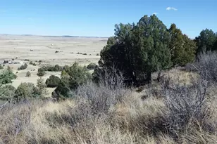 35584 Comanche Creek Rd, Kiowa, CO 80117 - Photo 1