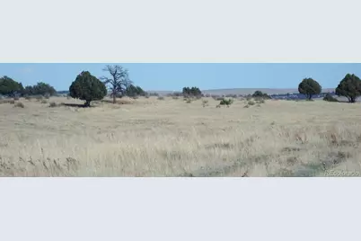 35584 Comanche Creek Road, Kiowa, CO 80117 - Photo 3