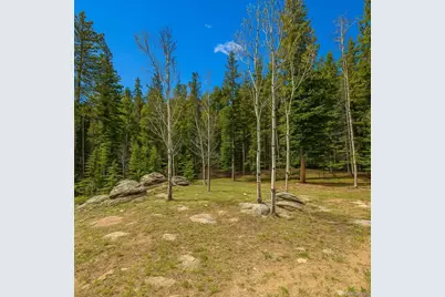 33606 Gap Road, Golden, CO 80403 - Photo 25