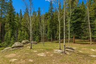 33606 Gap Rd, Golden, CO 80403 - Photo 25