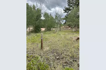 155 County Road 403, Florissant, CO 80816 - Photo 5