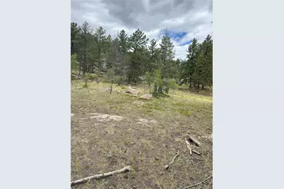 155 County Road 403, Florissant, CO 80816 - Photo 3