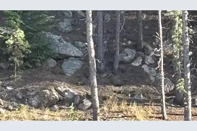 1 Miners Road, Black Hawk, CO 80422 - Photo 3