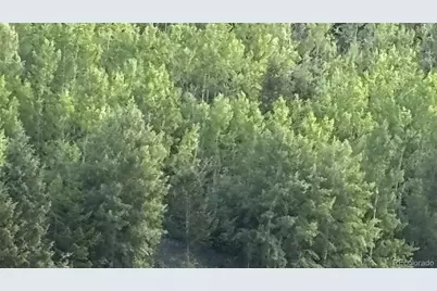 1 Miners Road, Black Hawk, CO 80422 - Photo 15