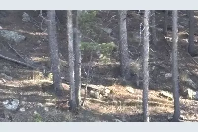 1 Miners Road, Black Hawk, CO 80422 - Photo 5