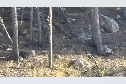 1 Miners Road, Black Hawk, CO 80422 - Photo 7