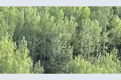 1 Miners Road, Black Hawk, CO 80422 - Photo 11