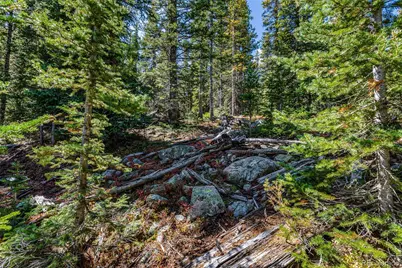 245 El Lobo Lane, Fairplay, CO 80440 - Photo 9