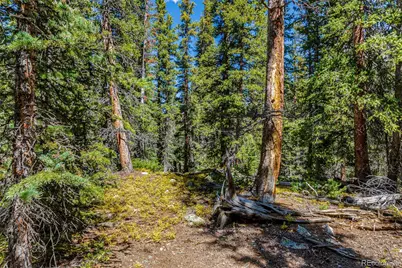 245 El Lobo Lane, Fairplay, CO 80440 - Photo 21