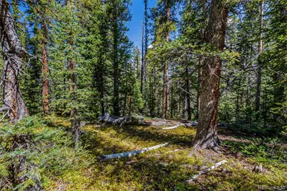 245 El Lobo Lane, Fairplay, CO 80440 - Photo 23