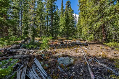 245 El Lobo Lane, Fairplay, CO 80440 - Photo 7