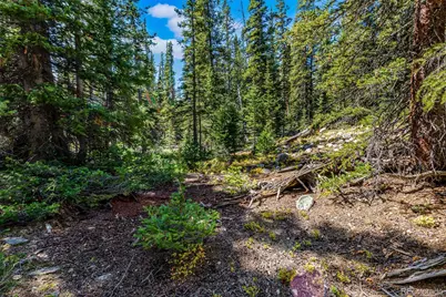 245 El Lobo Lane, Fairplay, CO 80440 - Photo 15