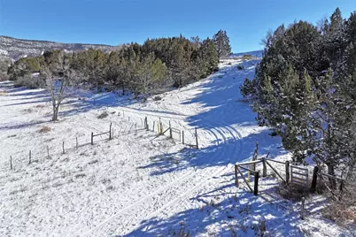 555 Glenarm Avenue, Collbran, CO 81624 - Photo 5