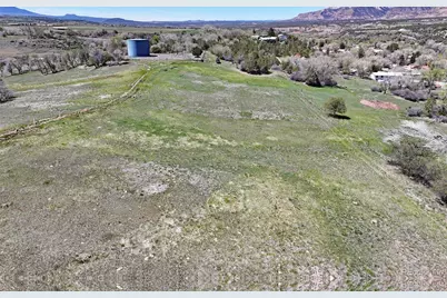 555 Glenarm Avenue, Collbran, CO 81624 - Photo 9
