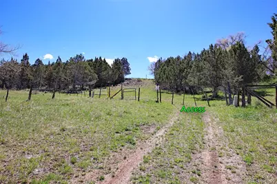 555 Glenarm Avenue, Collbran, CO 81624 - Photo 3