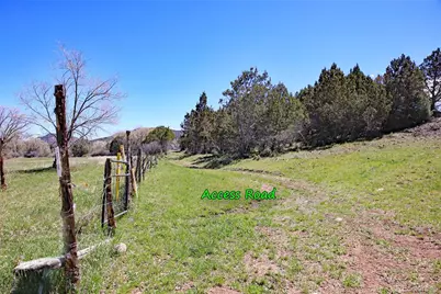 555 Glenarm Avenue, Collbran, CO 81624 - Photo 5