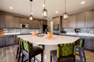 6040 Clover Ridge Cir, Castle Rock, CO 80104 - Photo 9
