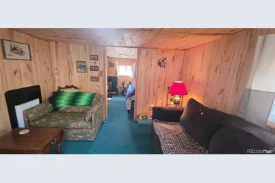 43151 Cr-397, Granite, CO 81228 - Photo 13