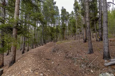 486 Moonstone Road, Breckenridge, CO 80424 - Photo 5