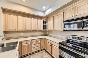 10578 Parkington Ln, Highlands Ranch, CO 80126 - Photo 9