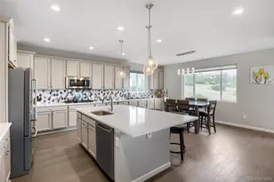 7013 Mentha Dr, Castle Rock, CO 80108 - Photo 13