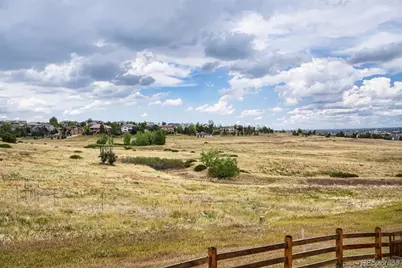 7013 Mentha Drive, Castle Rock, CO 80108 - Photo 41