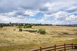 7013 Mentha Dr, Castle Rock, CO 80108 - Photo 41
