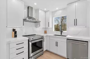 9421 Crestmore Way, Highlands Ranch, CO 80126 - Photo 5