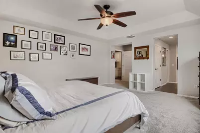10616 Briarglen Circle, Highlands Ranch, CO 80130 - Photo 23