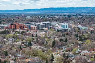 1419 Dexter St, Denver, CO 80220 - Photo 47