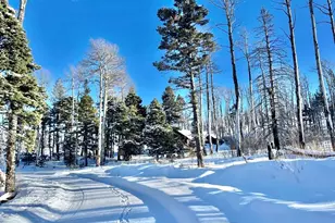 1939 Korlkoff Ln, Fort Garland, CO 81133 - Photo 19