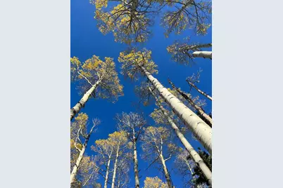 1939 Korlkoff Lane, Fort Garland, CO 81133 - Photo 17