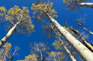 1939 Korlkoff Ln, Fort Garland, CO 81133 - Photo 17