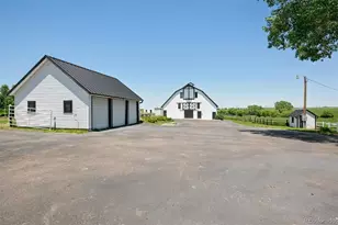 11675 Steele Ave, Elbert, CO 80106 - Photo 5