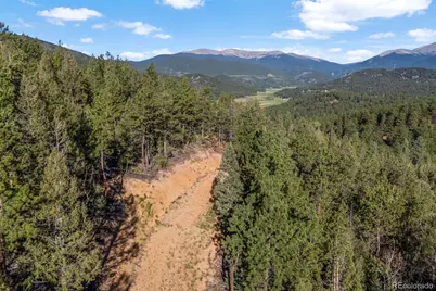 157 Saddle Horn Lane, Bailey, CO 80421 - Photo 7
