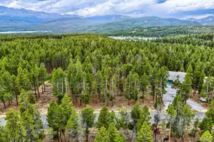 848 Baby Doe Dr, Leadville, CO 80461 - Photo 1