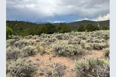 Lot 7840 Richard Road, Fort Garland, CO 81133 - Photo 5