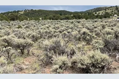 Lot 7840 Richard Road, Fort Garland, CO 81133 - Photo 7