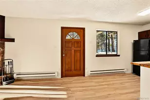 217 Catamount Ridge Rd, Bailey, CO 80421 - Photo 23