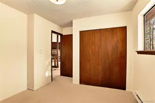 217 Catamount Ridge Rd, Bailey, CO 80421 - Photo 19