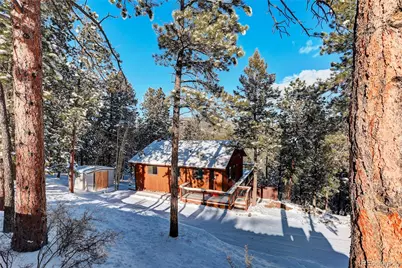 217 Catamount Ridge Road, Bailey, CO 80421 - Photo 39