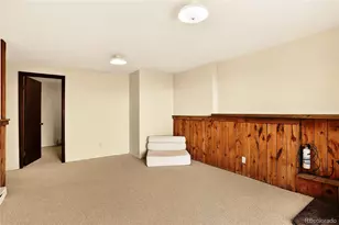 217 Catamount Ridge Rd, Bailey, CO 80421 - Photo 33