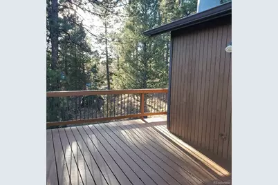 217 Catamount Ridge Road, Bailey, CO 80421 - Photo 15