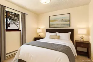 217 Catamount Ridge Rd, Bailey, CO 80421 - Photo 17