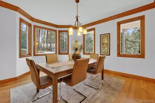 916 Tenderfoot Dr, Larkspur, CO 80118 - Photo 11