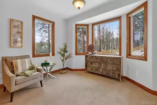 916 Tenderfoot Dr, Larkspur, CO 80118 - Photo 23